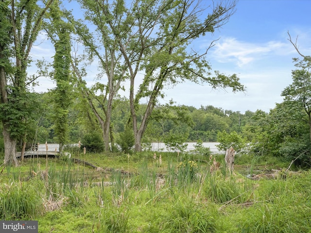 1316 Swan Harbour Rd, Fort Washington, MD 20744 - view of tree filled area