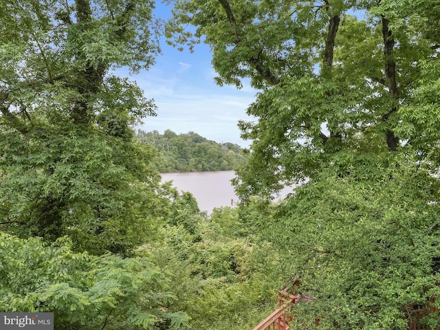 1316 Swan Harbour Rd, Fort Washington, MD 20744 - water view featuring a heavily wooded area