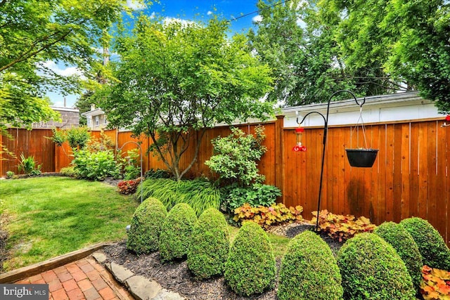 315 Nevin St, Lancaster, PA 17603 - view of yard