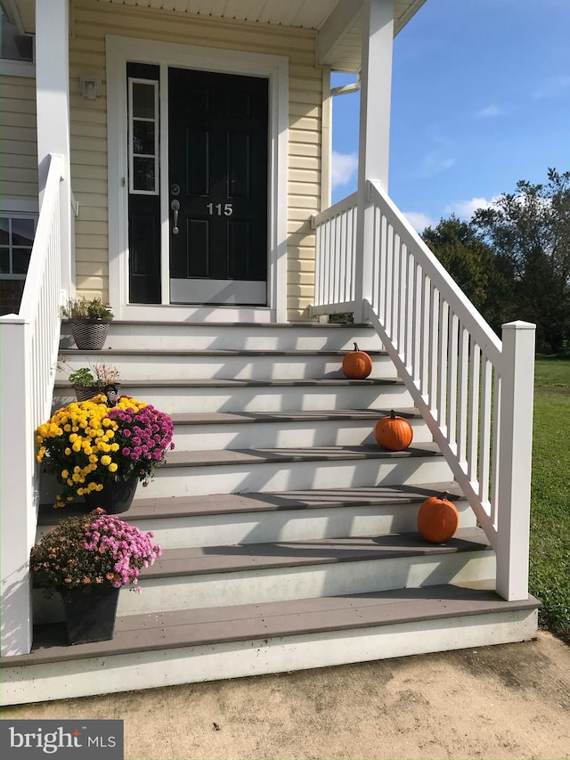115 E Sheldrake Cir, Dover, DE 19904 - view of property entrance