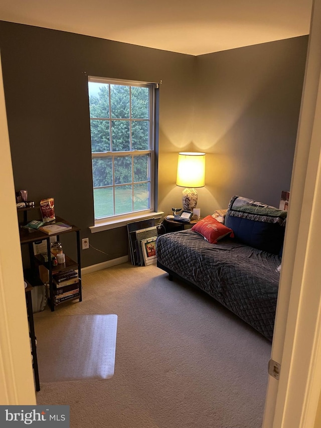 115 E Sheldrake Cir, Dover, DE 19904 - bedroom featuring carpet and baseboards