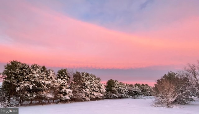 115 E Sheldrake Cir, Dover, DE 19904 - view of snowy landscape