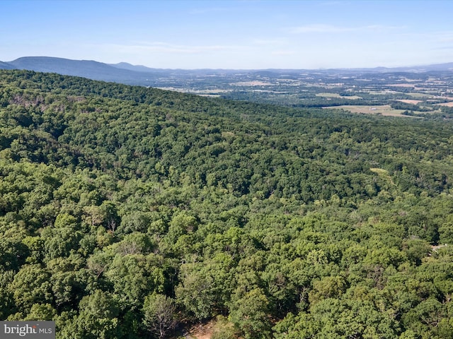 Mountain Laurel Dr, Mount Jackson, VA 22842