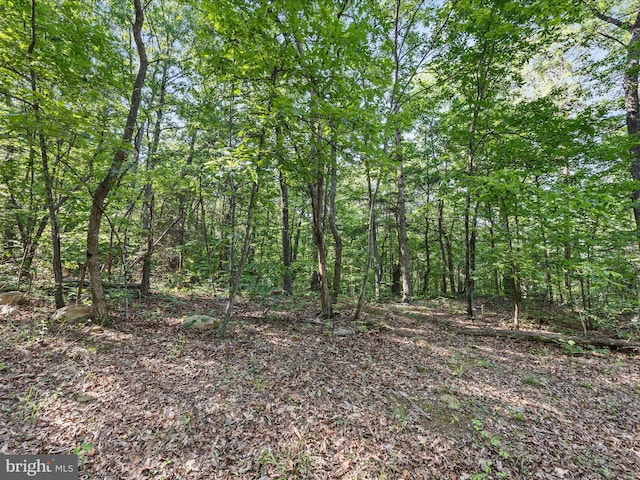 Mountain Laurel Dr, Mount Jackson, VA 22842