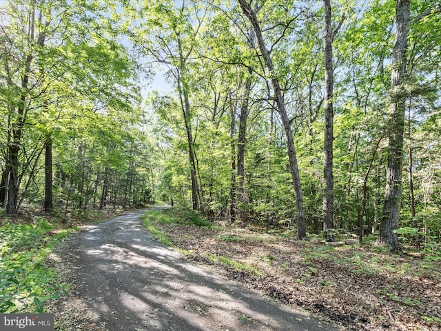 Mountain Laurel Dr, Mount Jackson, VA 22842