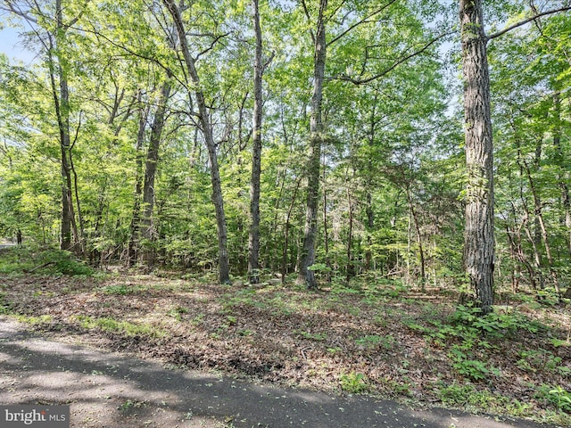 Mountain Laurel Dr, Mount Jackson, VA 22842