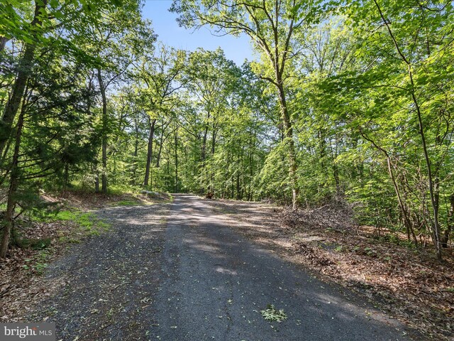 Mountain Laurel Dr, Mount Jackson, VA 22842