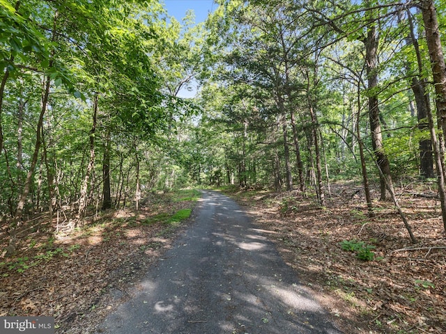 Mountain Laurel Dr, Mount Jackson, VA 22842