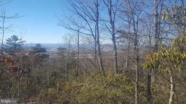 Mountain Laurel Dr, Mount Jackson, VA 22842