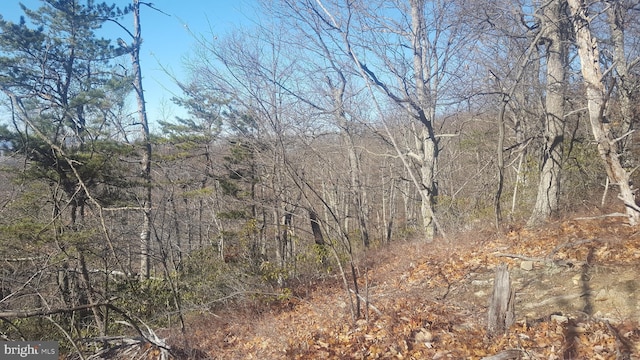 Mountain Laurel Dr, Mount Jackson, VA 22842