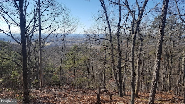 Mountain Laurel Dr, Mount Jackson, VA 22842