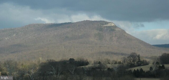 Mountain Laurel Dr, Mount Jackson, VA 22842