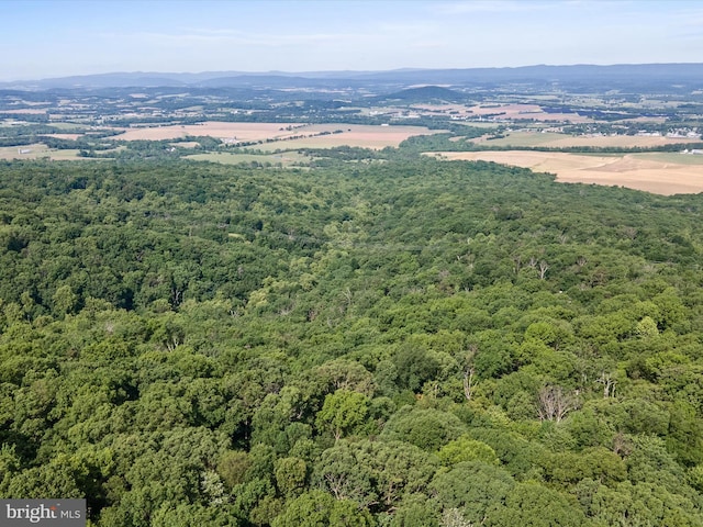 Mountain Laurel Dr, Mount Jackson, VA 22842