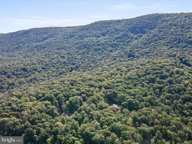 Mountain Laurel Dr, Mount Jackson, VA 22842