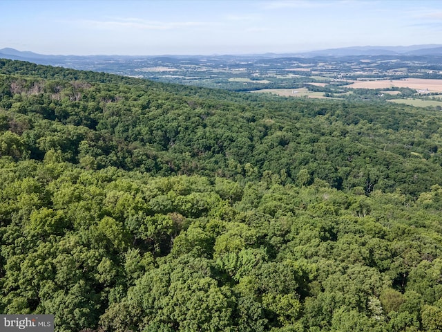 Mountain Laurel Dr, Mount Jackson, VA 22842