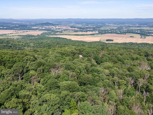 Mountain Laurel Dr, Mount Jackson, VA 22842