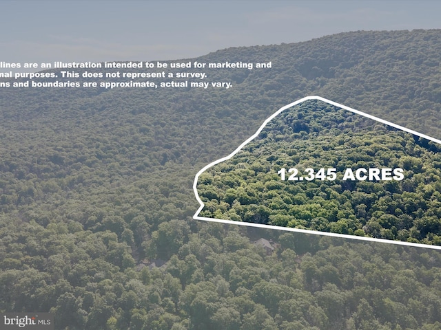 Mountain Laurel Dr, Mount Jackson, VA 22842