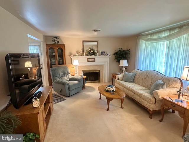 23 N Valley View Ln, Keyser, WV 26726 - living room with carpet and a fireplace