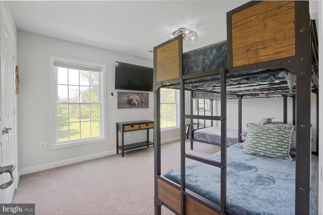 5040 Hummingbird Ln, Warrenton, VA 20187 - carpeted bedroom with baseboards and multiple windows
