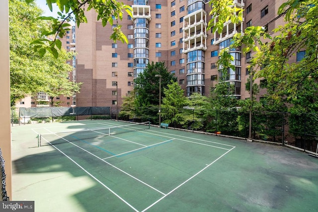 1600 N Oak St Unit 324, Arlington, VA 22209 - view of tennis court