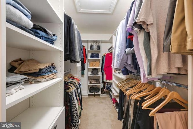 walk in closet featuring light colored carpet and attic access