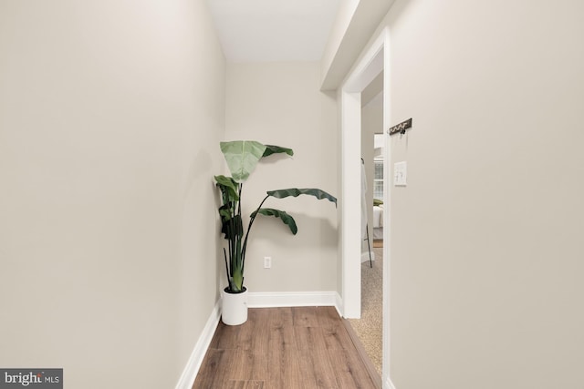 704 F St NE, Washington, DC 20002 - hallway featuring wood finished floors and baseboards