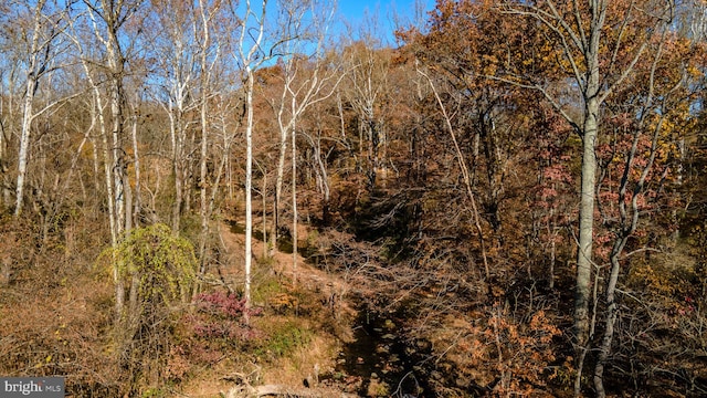 Belvidere Rd, Port Deposit, MD 21904