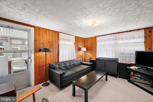 104 11th St, Ocean City, MD 21842 - living area featuring carpet and wooden walls