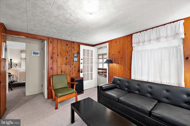 104 11th St, Ocean City, MD 21842 - living room with carpet floors and wooden walls