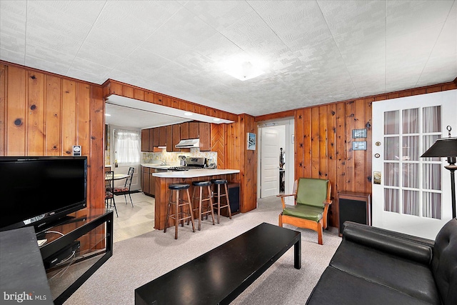 104 11th St, Ocean City, MD 21842 - living room with wooden walls and light carpet