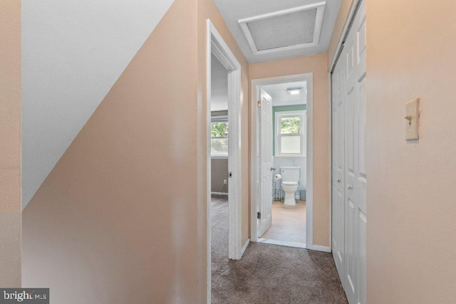 911 Circle Dr, Baltimore, MD 21227 - corridor featuring carpet flooring