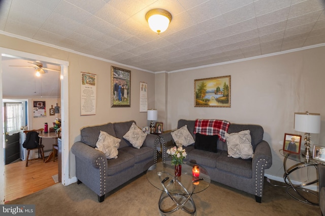 131 Main, Medford, NJ 08055 - living room with ornamental molding, ceiling fan, and carpet