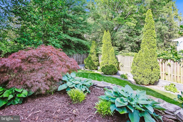 2371 N Edgewood St, Arlington, VA 22207 - view of fenced backyard