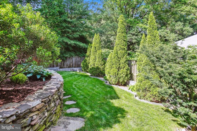 2371 N Edgewood St, Arlington, VA 22207 - view of yard