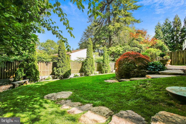 2371 N Edgewood St, Arlington, VA 22207 - view of yard