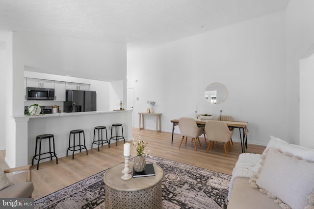 1490 Greenbriar Cir Unit 1-1490, Pikesville, MD 21208 - living room featuring light wood finished floors, baseboards, and a high ceiling