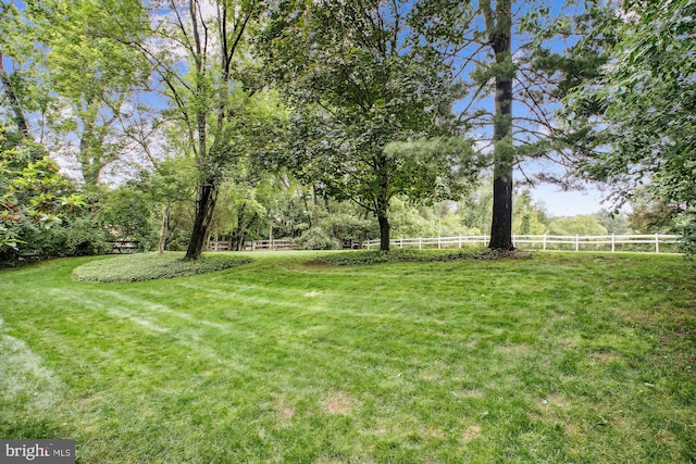 1881 Cold Creek Ct, Vienna, VA 22182 - view of yard