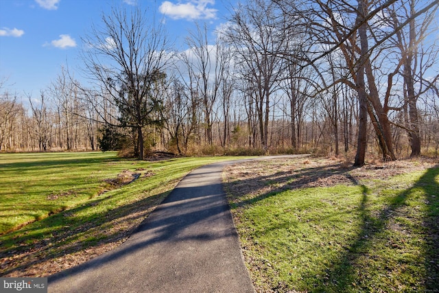 1881 Cold Creek Ct, Vienna, VA 22182 - view of road with a view of trees