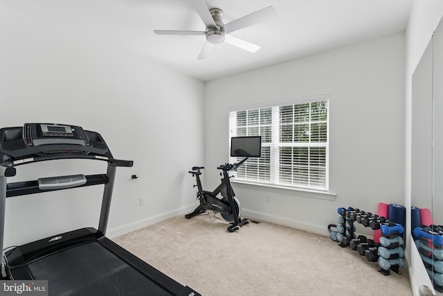 2638 Hollow View Dr, Easton, PA 18040 - workout area featuring carpet, a ceiling fan, and baseboards