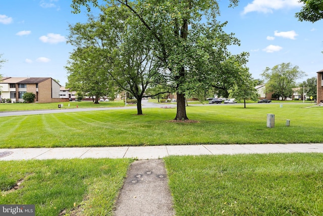 372 Irvington Pl, East Windsor, NJ 08520 - view of green lawn