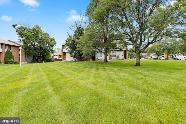 372 Irvington Pl, East Windsor, NJ 08520 - view of green lawn with a residential view