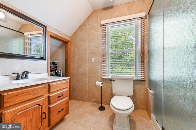 665 Bayard Rd, Lothian, MD 20711 - bathroom with tile walls, a shower stall, vanity, toilet, and vaulted ceiling