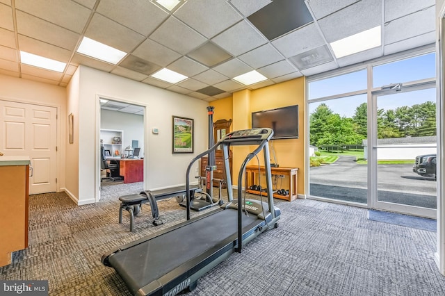 665 Bayard Rd, Lothian, MD 20711 - workout area with carpet flooring, baseboards, and a drop ceiling