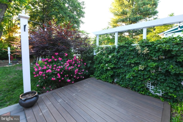 67 N American St, Woodbury, NJ 08096 - view of wooden terrace