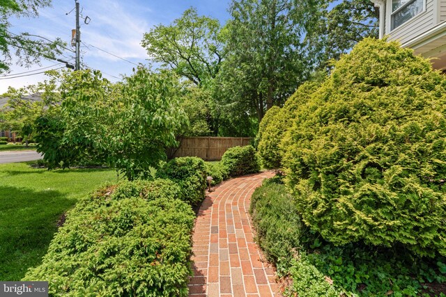 6188 Cobbs Rd, Alexandria, VA 22310 - view of yard