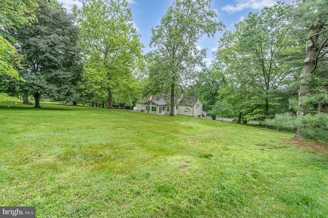 56 Pine Dr, Kirkwood, PA 17536 - view of green lawn