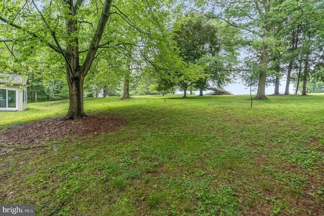56 Pine Dr, Kirkwood, PA 17536 - view of grassy yard