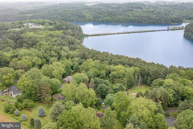 56 Pine Dr, Kirkwood, PA 17536 - drone / aerial view of a forest and a nearby body of water