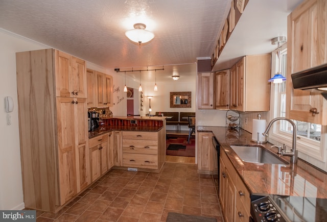 65 White Bark Dr, Middletown, DE 19709 - kitchen with light brown cabinetry, a sink, range, and a peninsula