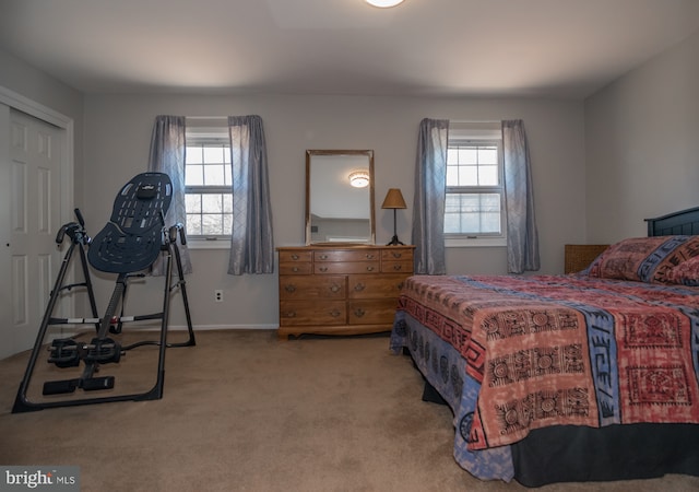 65 White Bark Dr, Middletown, DE 19709 - carpeted bedroom featuring multiple windows